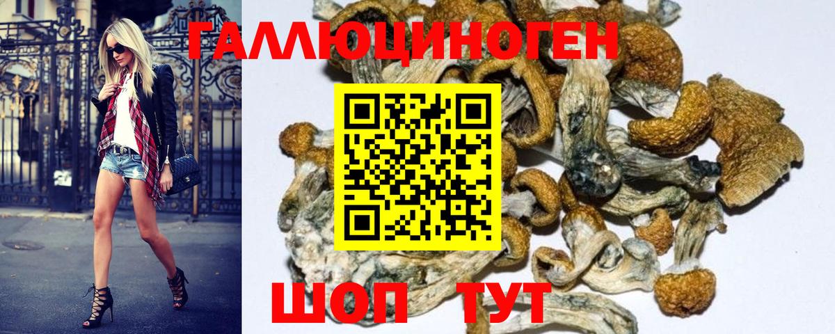 Унеча  Псилоцибиновые грибы Cubensis  Псилоцибиновые грибы Magic Shrooms  Вход с VPN 
