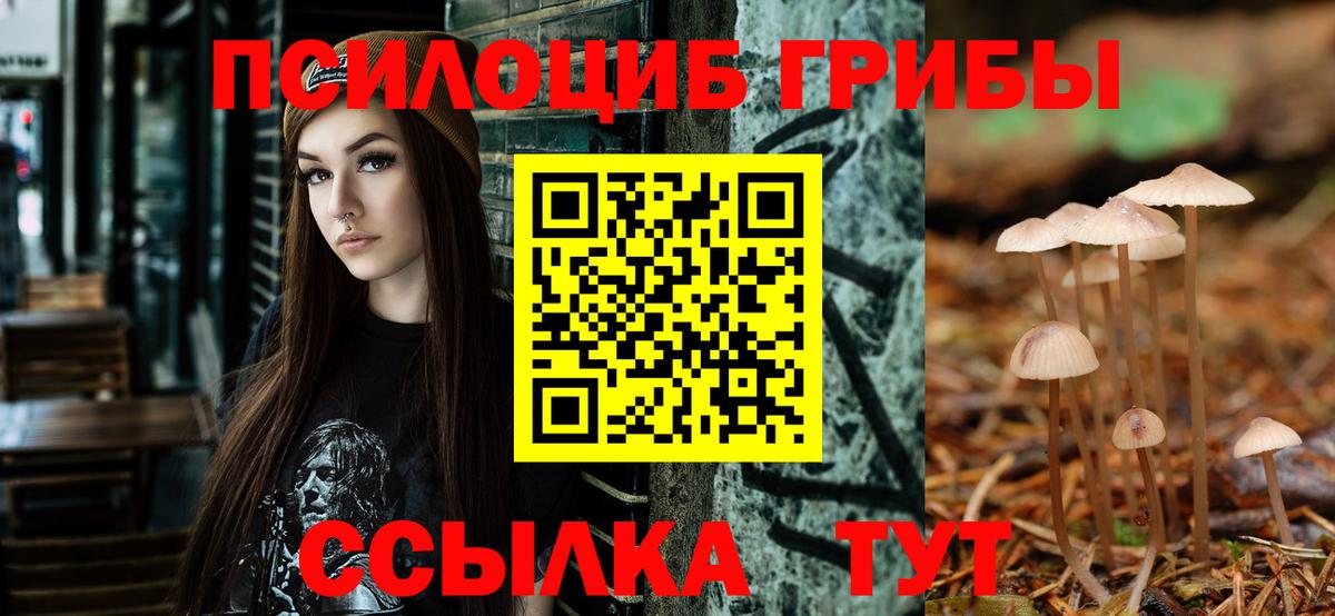Псилоцибиновые грибы Cubensis Унеча
